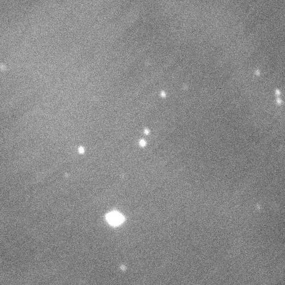 Javier Gorosabel asteroidearen irudia, Zeelanda Berriko BOOTES-3 teleskopioak ostiralean hartu bezala