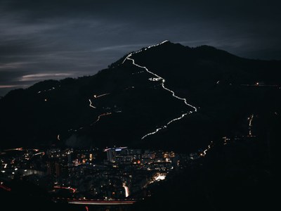 Foto: Amaia Agirre. https://instagram.com/animalattitudephoto