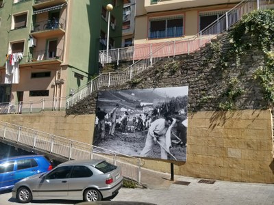 Argazkiak Mintzo - Arratebide