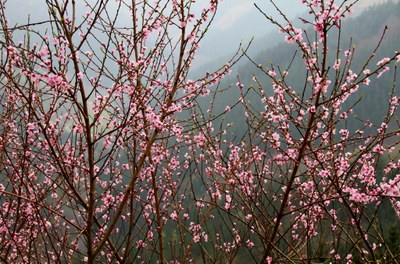 IMG 6084 IMG 6084