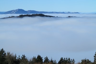 IMG_0677.JPG IMG_0677.JPG