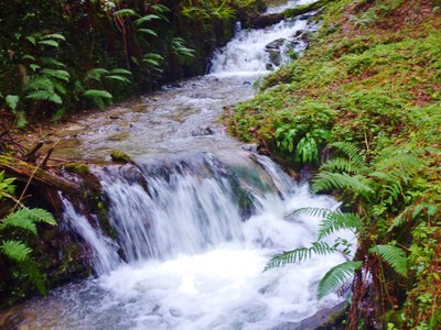 P1070684.JPG P1070684.JPG