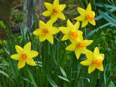 P1070699.JPG P1070699.JPG