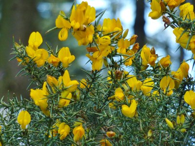 P1070703.JPG P1070703.JPG