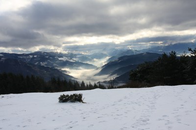 IMG_4335.JPG IMG_4335.JPG