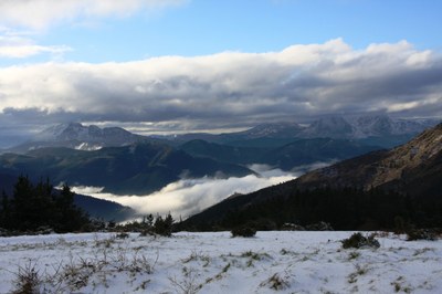 IMG_4339.JPG IMG_4339.JPG