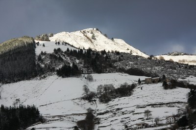 IMG_8972.JPG IMG_8972.JPG