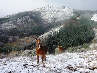 P1030807.JPG P1030807.JPG