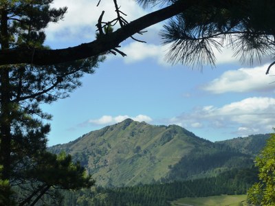 P1040504.JPG P1040504.JPG