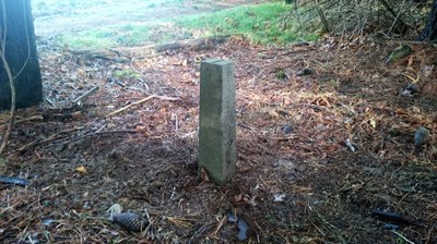 Nº 49 Santutxutrangua (1) Nº 49 Santutxutrangua (1)